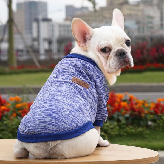 Pet Clothes