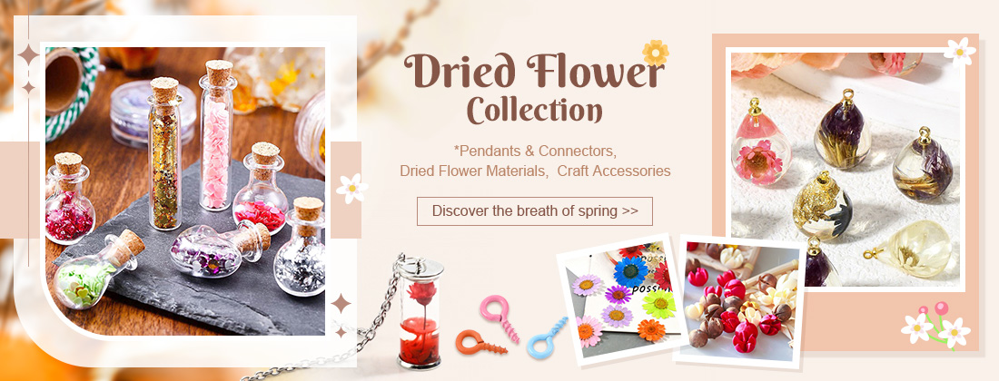 Dried Flower Collection