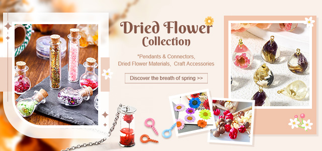 Dried Flower Collection