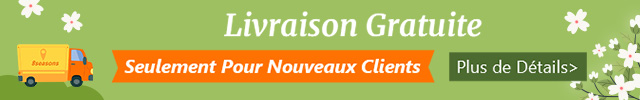 Livraison Gratuite
