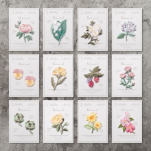 Terylene Bordado Apliques De Hierro Sobre Parches (Con Cola De Espalda) DIY Scrapbooking Craft Multicolor Flor Hoja 1 Paquete